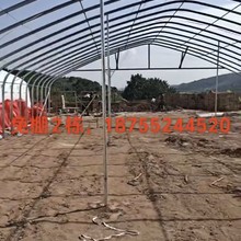 養(yǎng)殖大棚倉庫棚銷售搭建圖片