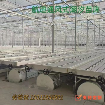 通風(fēng)式潮汐苗床登場(chǎng)為小番茄種植保駕