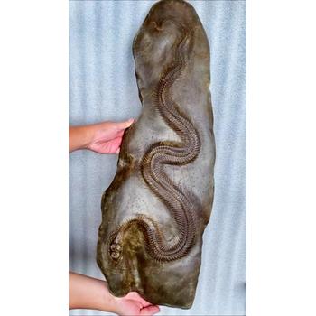 武威哪里私人收購牛寶現(xiàn)金收購