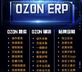 跨境電商ozon跟賣鋪貨ERP軟件可貼牌OEM