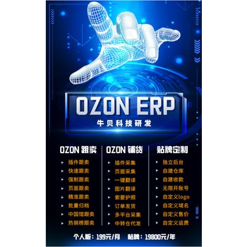 Ozon跨境運(yùn)營erp軟件