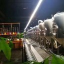 哈爾濱2000升全套小型精釀啤酒釀造設(shè)備