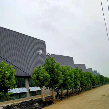 足尺壓型彩鋼板YXB25-205-820型
