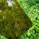 濟(jì)寧耐力板防火防水定制尺寸屋頂實(shí)心PC板瓦棚屋頂價(jià)格工廠批發(fā)