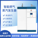 全自動(dòng)燃?xì)庹羝仩t食品釀酒蒸汽發(fā)生器低氮節(jié)能運(yùn)行穩(wěn)定