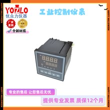XSM/C-H1MT2A1B1V1N2轉(zhuǎn)速控制顯示器圖片
