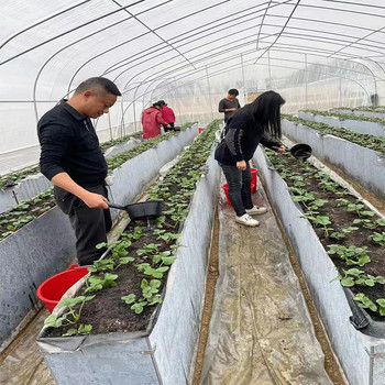 濟源纖維水泥壓力板防潮不含一點的石棉
