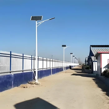 邢臺(tái)高桿燈廠家、邢臺(tái)中華燈廠家、邢臺(tái)景觀燈廠家