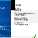 桃樹裂口