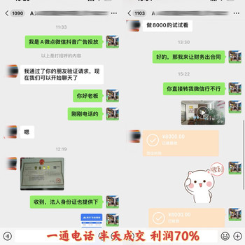 互聯(lián)網(wǎng)廣告投放項(xiàng)目，輕投入落地快，適合團(tuán)隊(duì)轉(zhuǎn)型快速變現(xiàn)