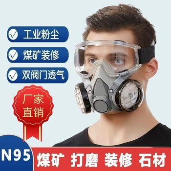 3M3200防毒面具噴漆防護(hù)罩化工氣體打農(nóng)藥工業(yè)防塵面罩防飛沫防毒