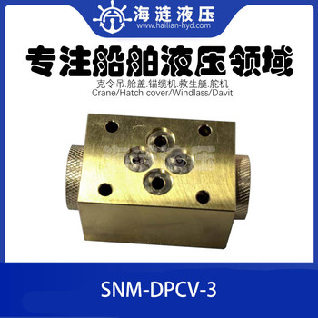 雙向液壓鎖先導(dǎo)止回閥單向閥DPCV-3PILOTOPERATEDCHECKVALVE