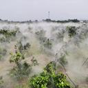 霧森造景系統：打造夢幻霧境，景觀霧化