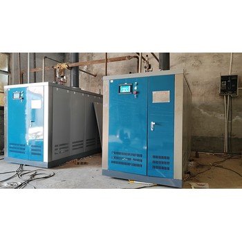 PGS型天然氣直流鍋爐/廠家,采購成本省30%
