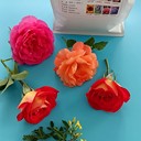 鮮花干燥劑DIY手工干花標本制作玫瑰花細孔可重復(fù)使用