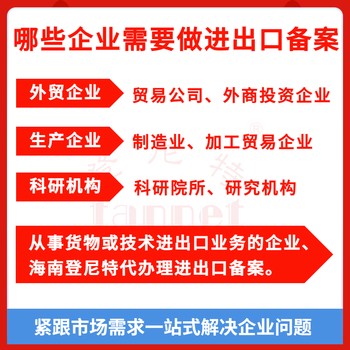 2025洋浦公司注冊流程