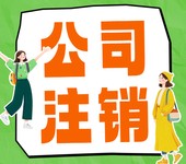 海南老板速看、海南注銷公司