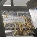 小黃花魚上漿裹粉設(shè)備魷魚須裹粉裹糠機海鮮上漿裹粉生產(chǎn)線