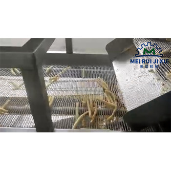 雪花雞柳上漿裹粉設(shè)備螃蟹塊上漿裹粉設(shè)備雞排上漿裹糠機(jī)