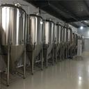 工廠型精釀啤酒設(shè)備