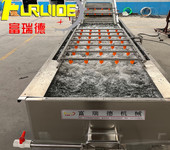 大型蔬菜清洗機全自動水果設備醬腌菜清洗漂燙機