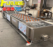 蔬菜加工前處理清洗線果蔬高壓噴淋清洗機全自動清洗氣泡設備