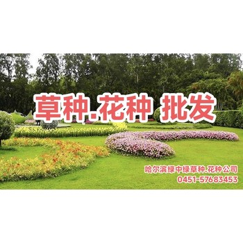草種.花種批發(fā)銷(xiāo)售__特殊綠化種子的發(fā)芽處理