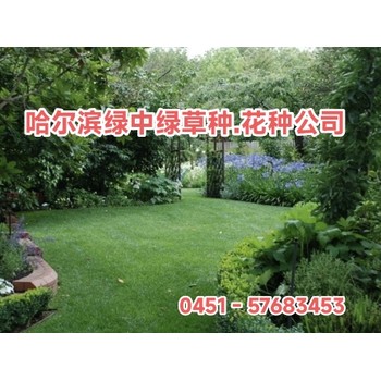 哈爾濱護(hù)坡草種哪買賣_護(hù)坡草種的種植方法