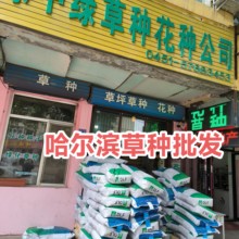 哈爾濱草種.花種哪里買賣_如何選擇草種.花種圖片