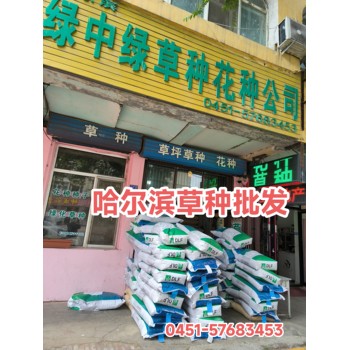黑龍江草種.花種公司_批發(fā)綠化種子