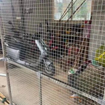 304不銹鋼電焊網(wǎng)養(yǎng)殖網(wǎng)防鼠網(wǎng)1毫米粗12毫米孔1米寬