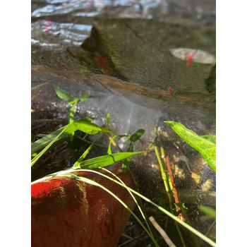 地下PE管漏水檢測(cè)電話深圳酒店暗管滲水檢測(cè)消防管檢漏查漏點(diǎn)