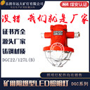 遠(yuǎn)大礦燈DGC22礦用隔爆型LED照明燈22W照明燈礦用