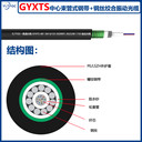 GYXTS一路通中心束管地埋式防鼠鎧裝光纖光纜