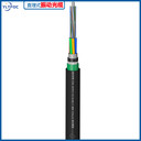 ELTFOC一路通GYTA53地埋式鎧裝振動(dòng)光纖光纜