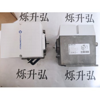 工業(yè)品CONTROLLI伺服電機MDL42PS1焚燒廠工業(yè)電機