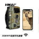 紅外相機監(jiān)測動物森林監(jiān)控