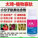 奧豐源“太琦”肥料增產(chǎn)增收好牛！