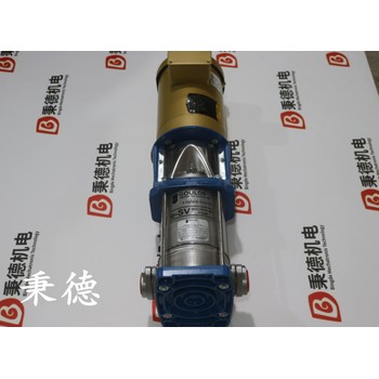 古爾茲Goulds離心泵1ST4F2A2（不銹鋼材質(zhì)）