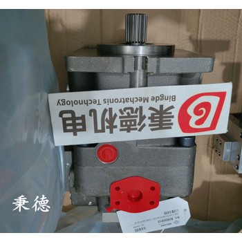 意大利布雷維尼Brevini柱塞泵S5AVP075SACME04SXXXXXK