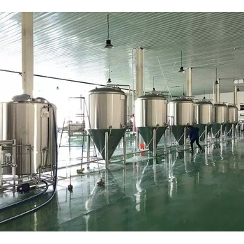 湖南3000升精釀啤酒設備工廠定制小啤酒廠釀酒設備