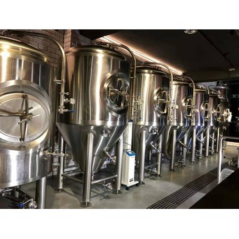 供應河南地區的精釀啤酒設備廠家日產500升的小型啤酒設備
