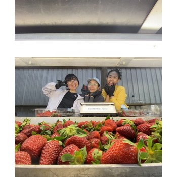 出國打工海外工作出國勞務(wù)，把40萬年薪的未來握在手中