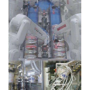 湖南永州冷水灘區(qū)海外務工哪個國家掙得多
