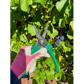 桂林出國打工海外務工打工追高酬，出國勞務，40萬年薪不用愁
