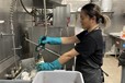 廣東廣州南沙海外務工一年能掙多少錢