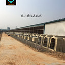 犢牛島什么是犢牛島犢牛島的重要性犢牛島的功能犢牛島批發(fā)