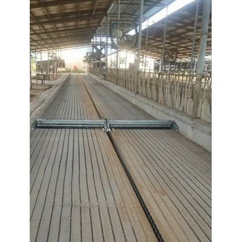 牛場刮糞板工作視頻牛棚刮糞設備刮糞機轉角輪刮糞機鏈輪鏈條