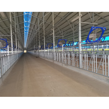 自鎖式牛頸枷牛頸枷配件奶牛場頸夾牛頸枷抱卡箍牛頸夾廠家