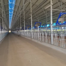 牛頸夾配件大全自產(chǎn)牛頸夾牛頸夾尺寸牛脖夾價格牛頸枷廠家